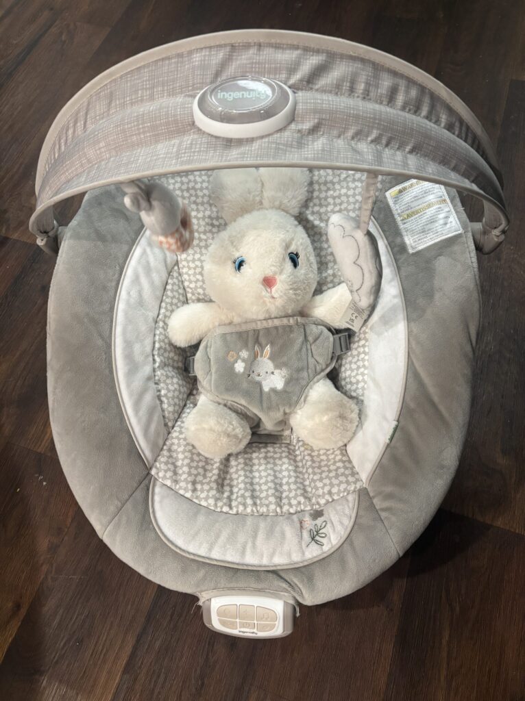 toy bunny in a baby seat