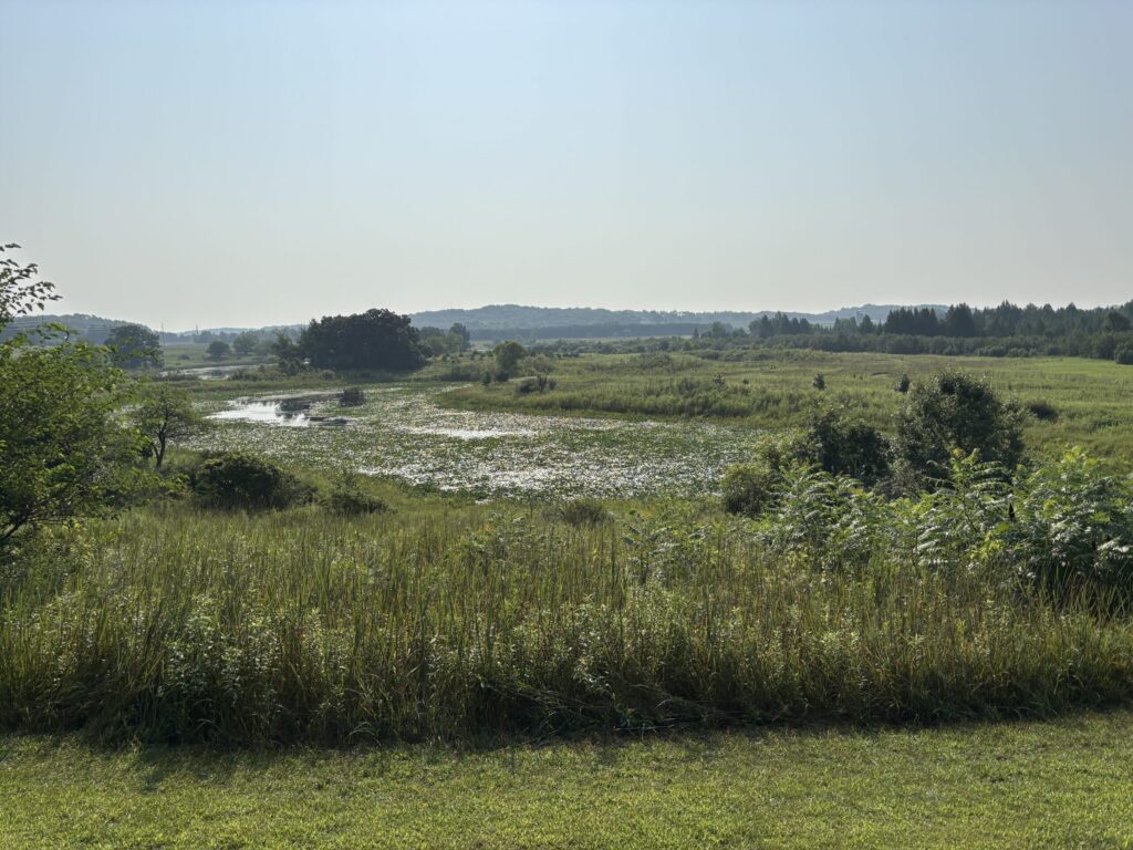natural landscape