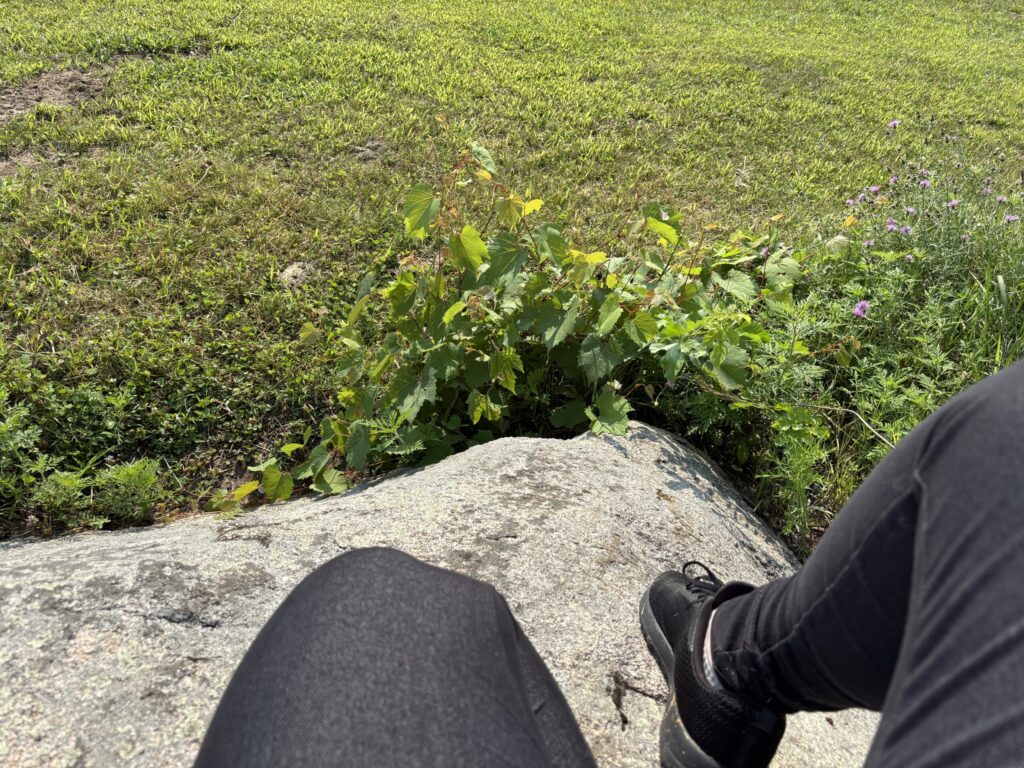 sitting on a rock
