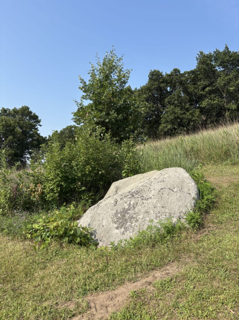 a boulder surrounded by grass and trees