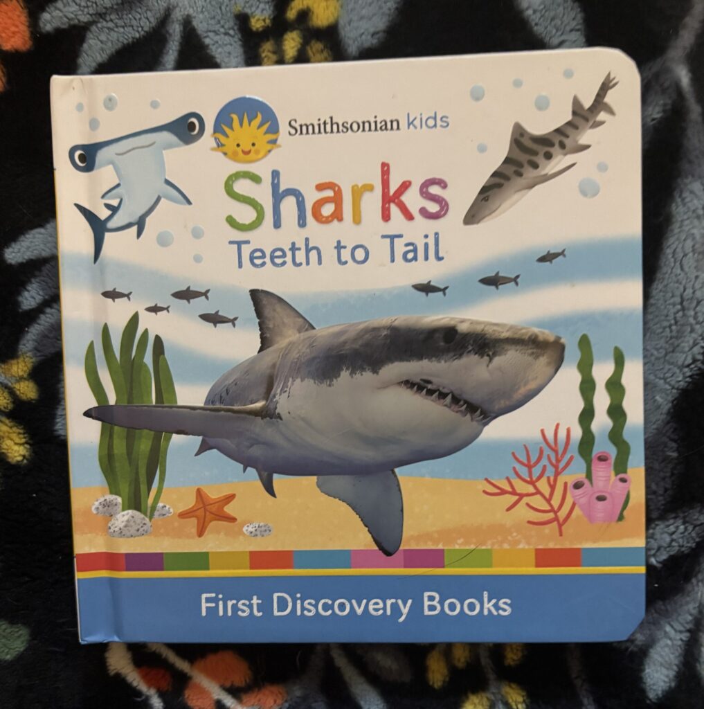 a baby book called Sharks Teeth to Tail with images of different sharks on the cover