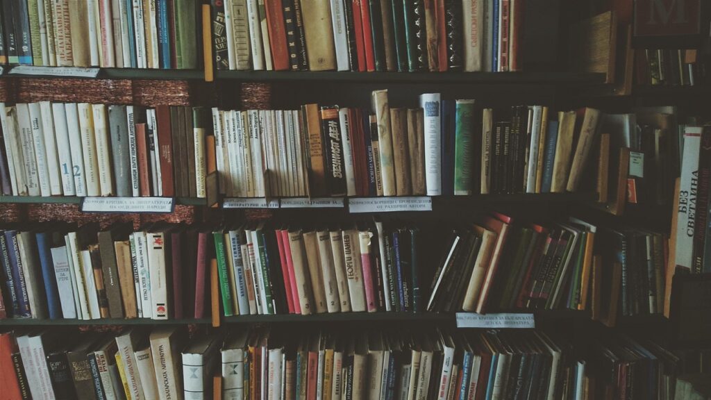 bookcases 1869616 1280
